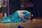 Bild#22(100_1416.JPG)